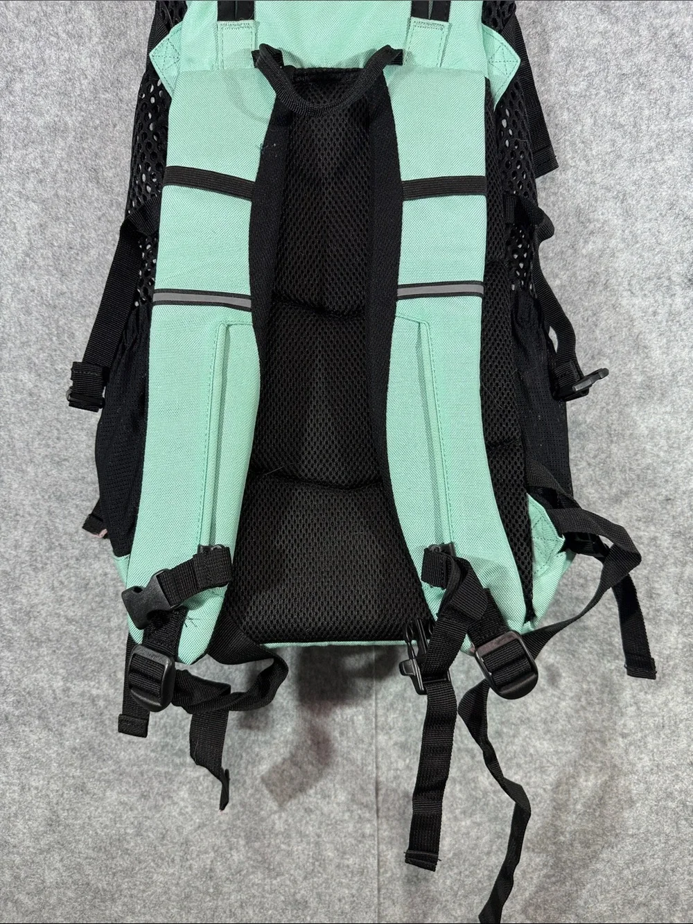 K9 Sport Sack Soft Mint Dog Carrier Backpack - Mint/Black
